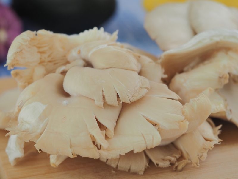 Pişirme Öncesi Hızlı Kurulama Önlemi