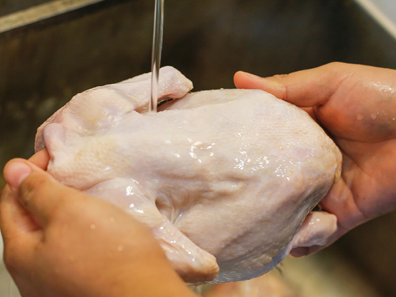 tavuk yıkama