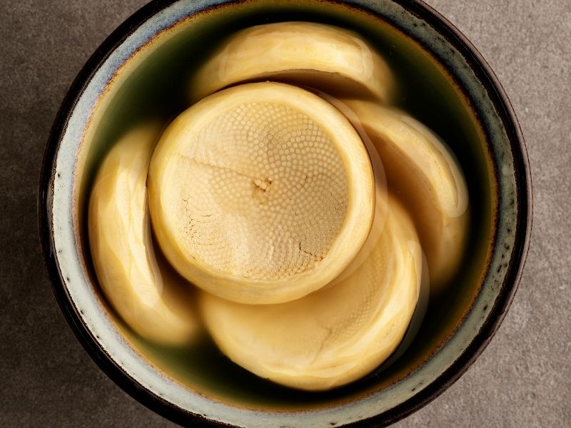  Dondurucuda Yerleşim Ve Kullanım Sırları