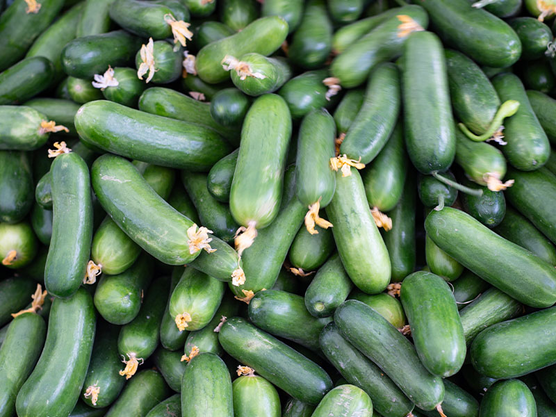 Soğuk Çorba ve Smoothielerde Kullanın