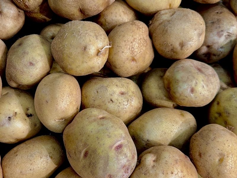 Patates Kabuğunda Oluşan Yeşil Katman Ve Işık Teması