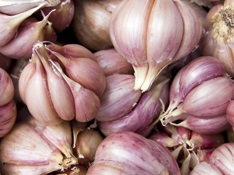 Aglio di Resia (İtalya) – 3.9