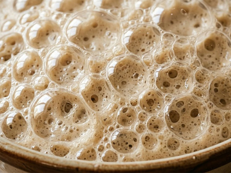 Mayanın Aktivitesinin Artması