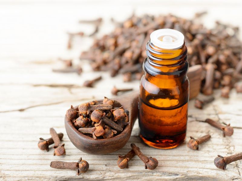 Koku Giderici Karışımı Hazırlayın