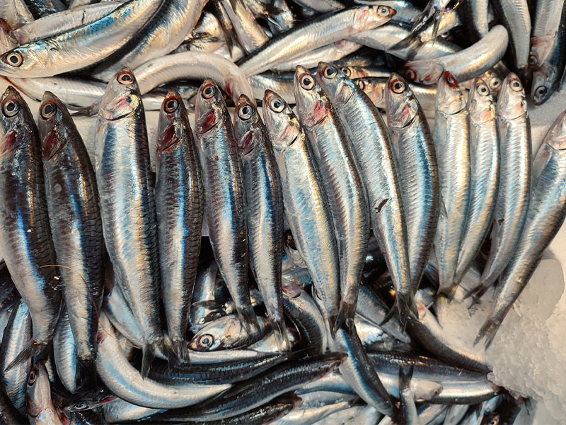 Sıcaklığa Dikkat Edin