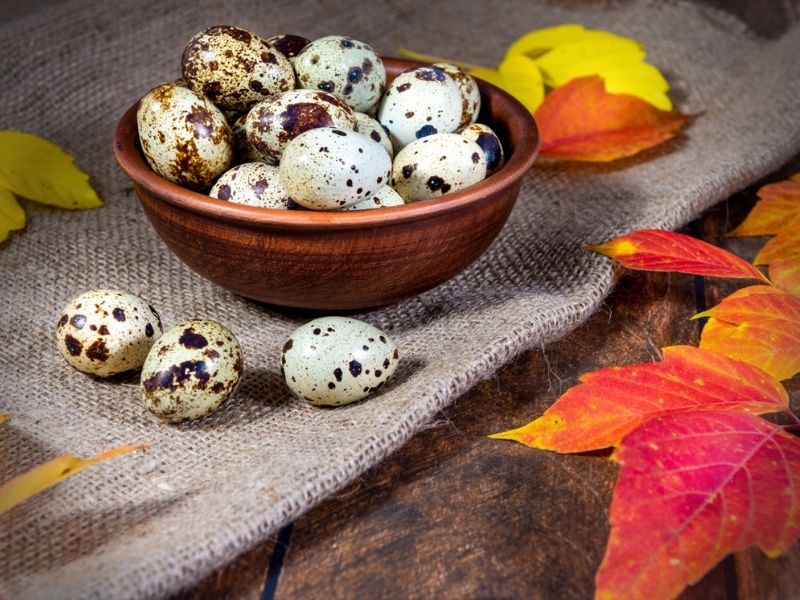 Çiğ tüketime dikkat