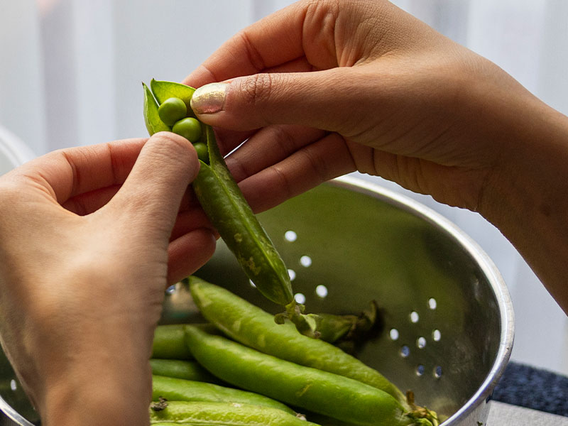 Taze ve kaliteli bezelye seçimi