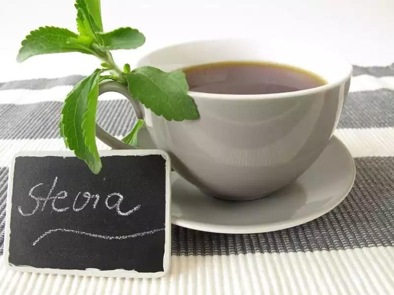 stevia