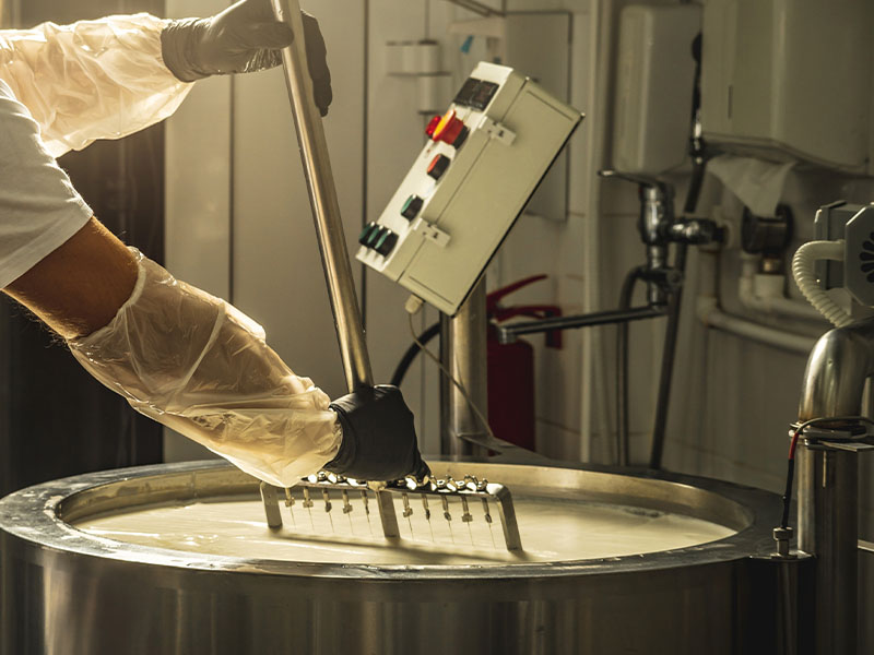 Koyun Sütünden Peynir