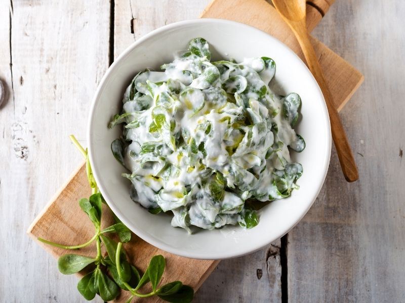 Yoğurtlu Semizotu Salatası