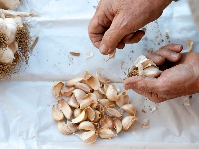 Ilık Suda Bekleterek Kabukları Yumuşatma Tekniği