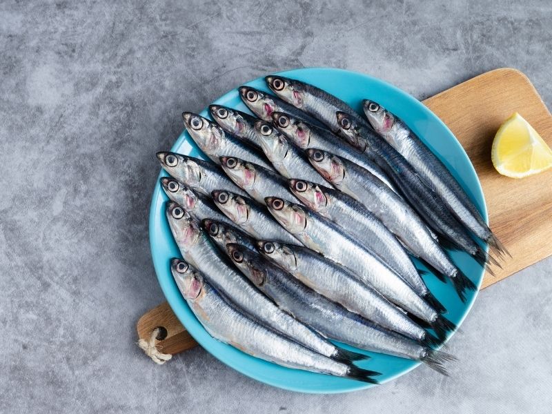 Sardalya Balığı Kılçıklı Mıdır?