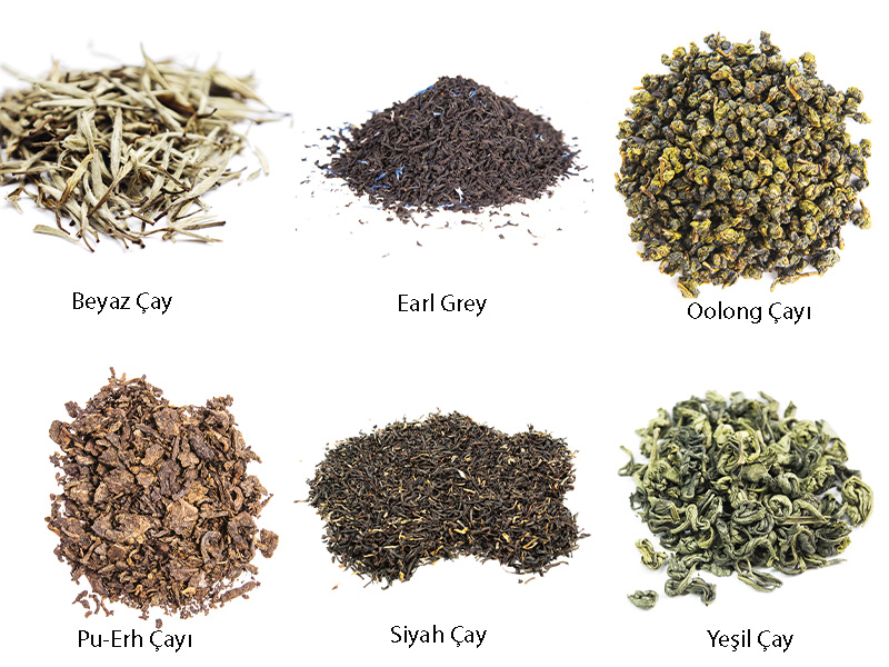 çay