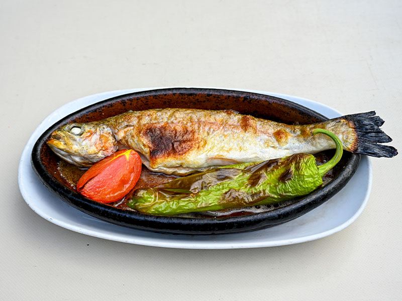 balık