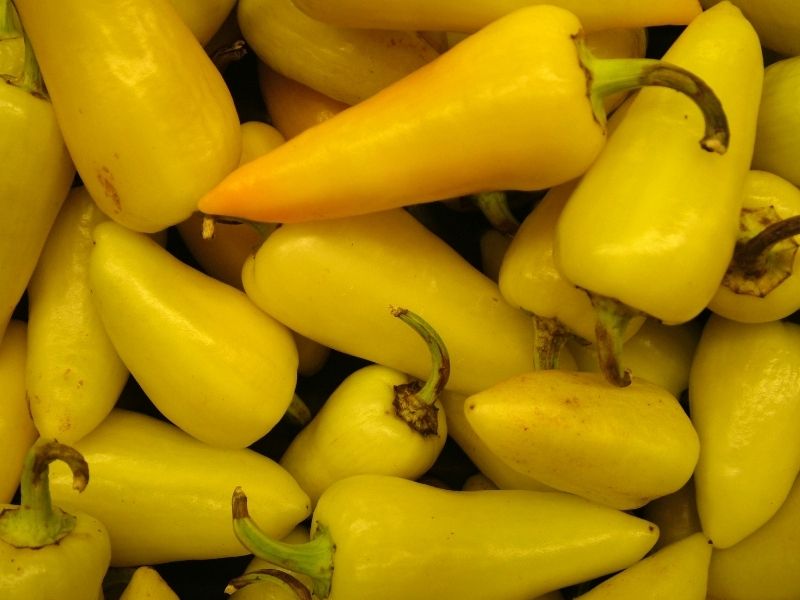  Soka Hangi Biberden Yapılır? 