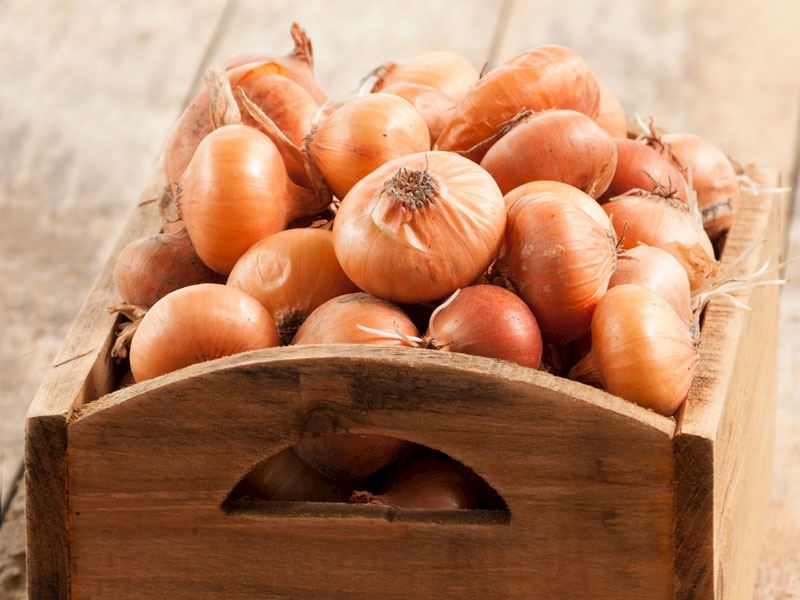 Soğuk suda/ buzlu suda bekletme