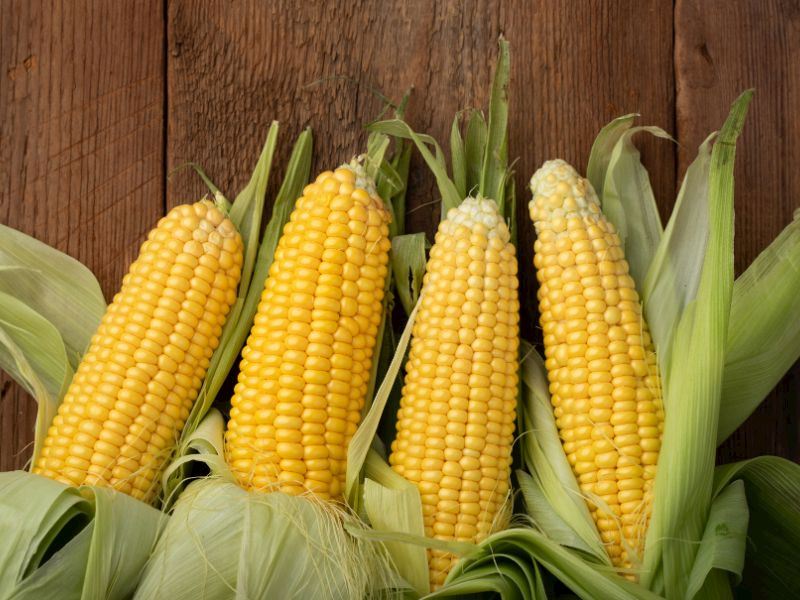 Haşlama + Şoklama Yöntemi