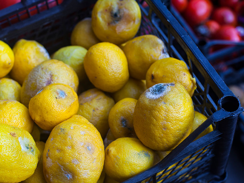 Su Dolu Kapta Bekletme