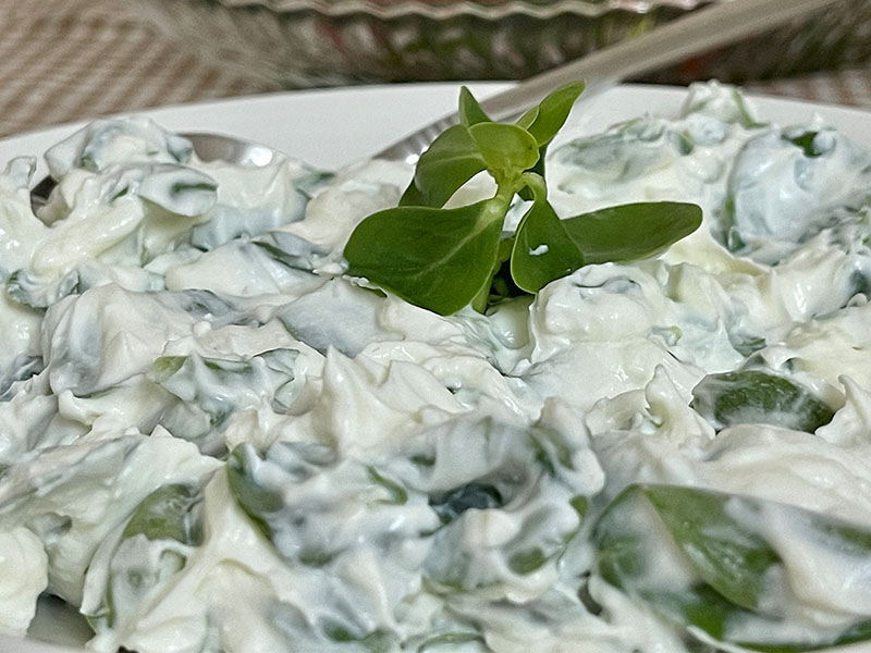 Yoğurtlu Sarımsak Sosu