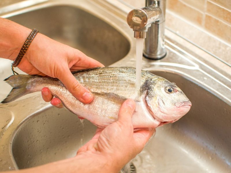 balık yıkama