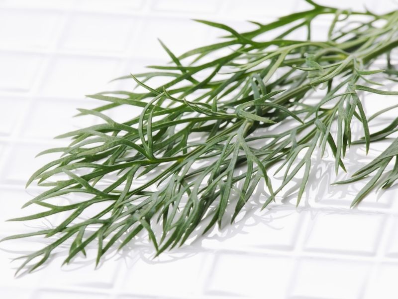 Tarhun Otunun Tarhana Aromasıyla Uyan Mükemmel Yapısı