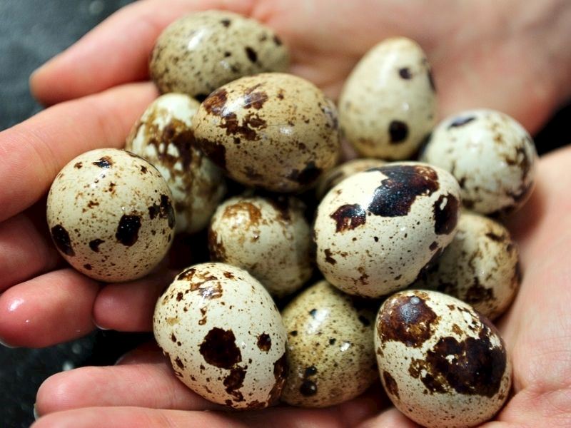 En iyi tüketim şekilleri