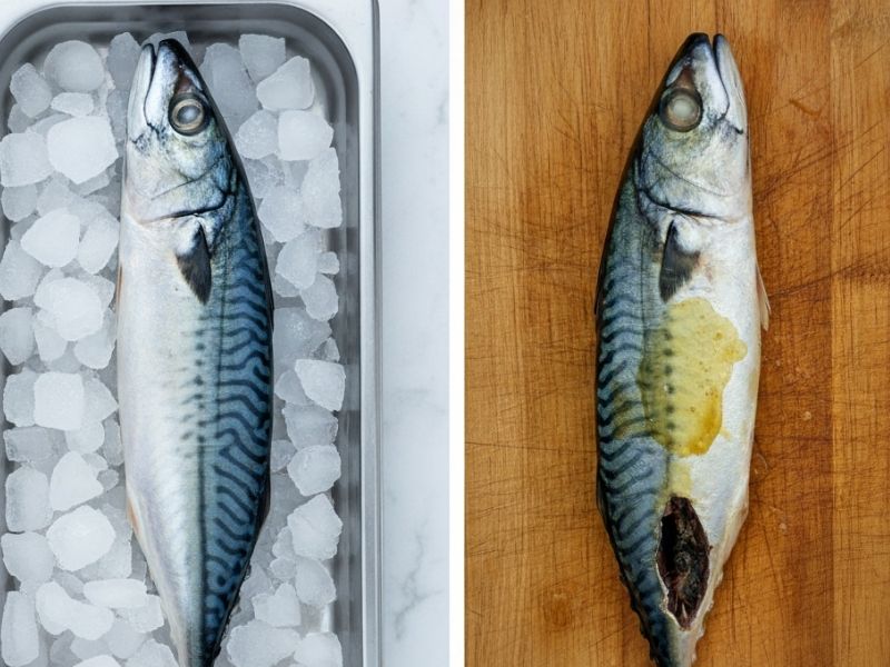 Yanlış Saklama ve Bozulma