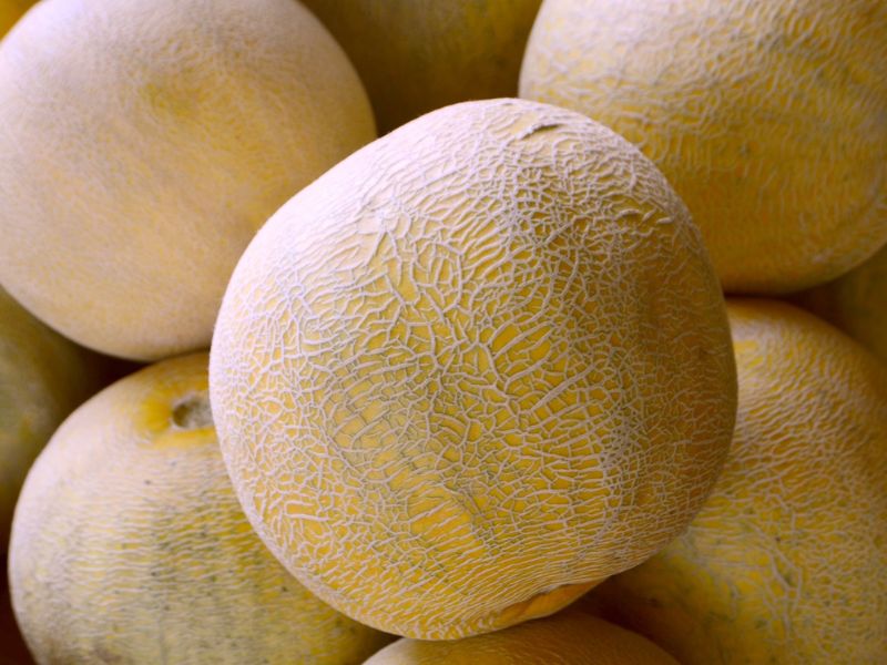 Kavun seçimine dikkat edin