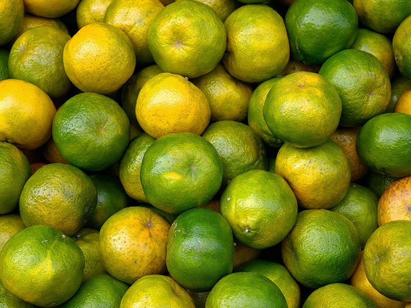 Oda Sıcaklığında Hızlandırma Yöntemi