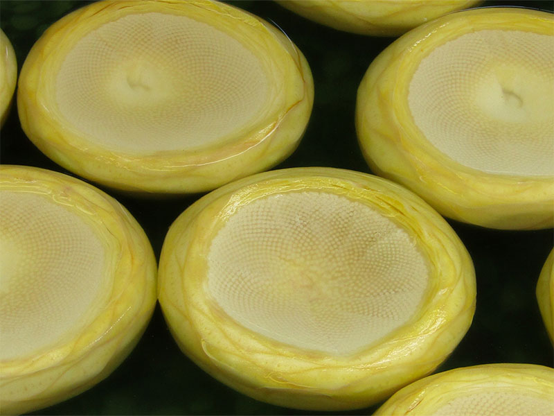 Limonlu Su Kullanımı