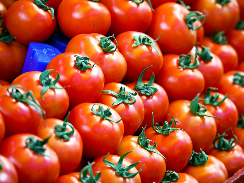 Olgun ve Ham Domatesleri Ayırmak