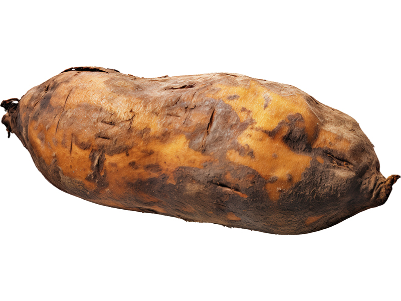 patates