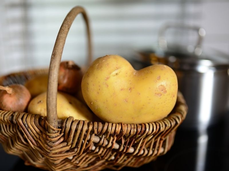 Patates Ve Kuru Soğan Çabuk Filizlenir