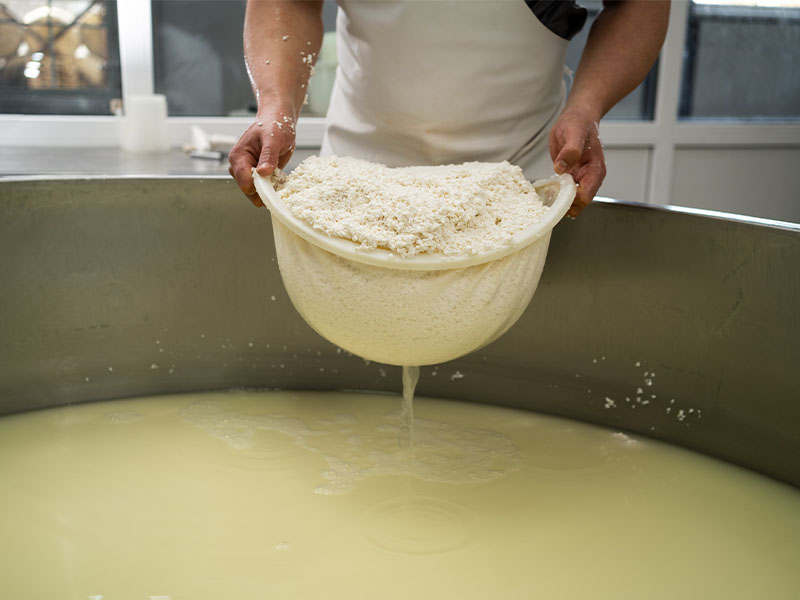 Peynirinizi Saklayın