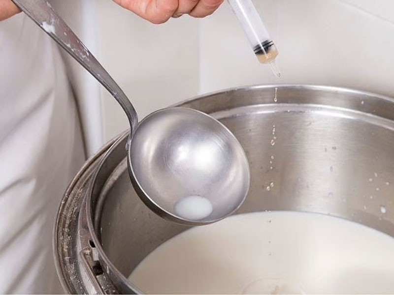 Yoğurt veya Kefir ile Mayalama