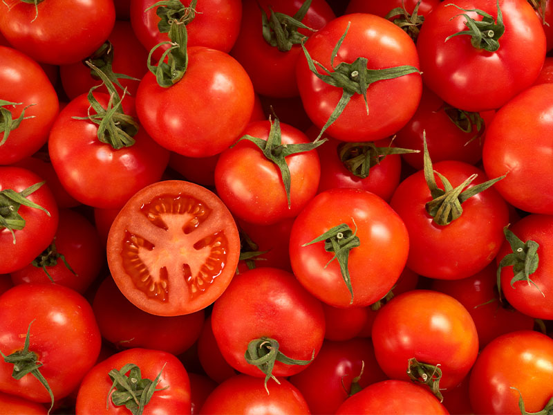 Domatesleri Sap Kısmı Aşağıda Tutmak