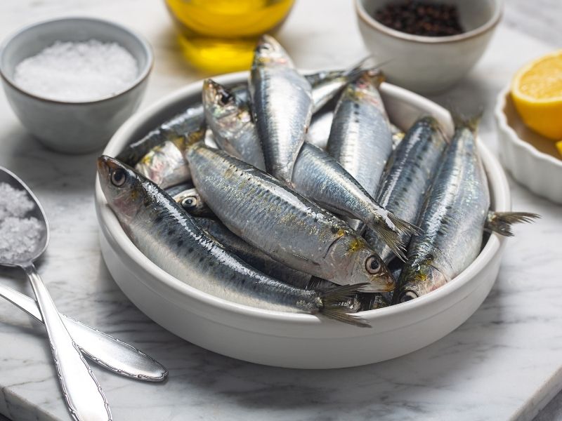 Sardalyanın Boyutu Porsiyonu Belirler