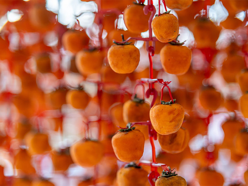 Saklama Hazırlığı