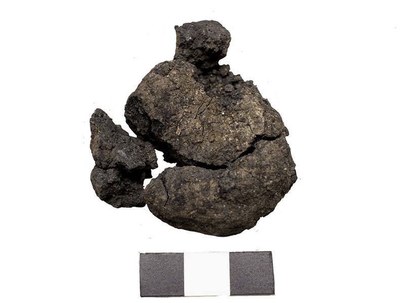 Geçmişe ışık tutuluyor