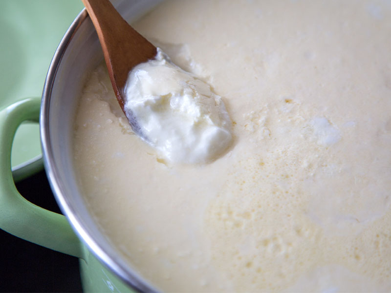 Taze Maya Eklenmesi Tekniği