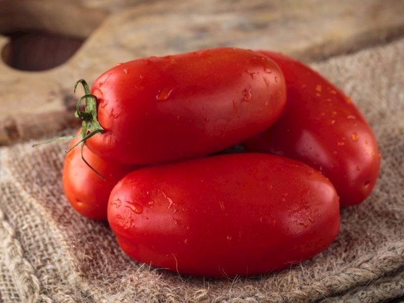 İtalya – Napoli Metropol Şehri | 4.6