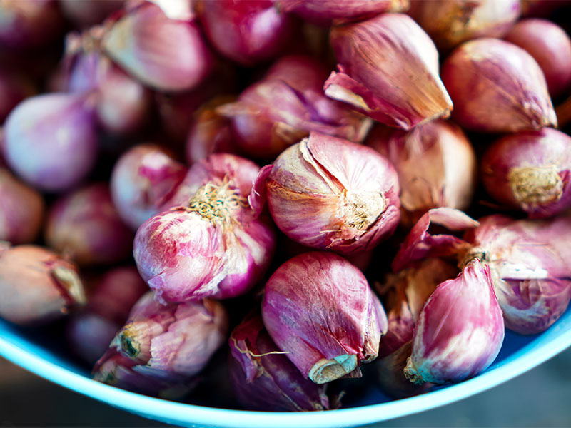 Boyuna Çizik Atılması