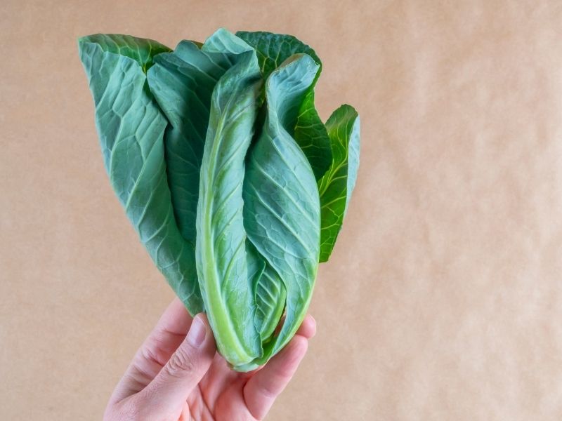 Canlı Yeşil Rengi Ve Çıtırlığı Koruma Formülü