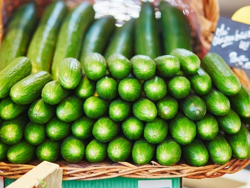 Salatalık Neden Buruşur Ve Esnekleşir? 