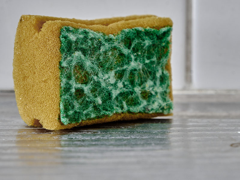 Saksı Bitkileri İçin Drenaj Malzemesi