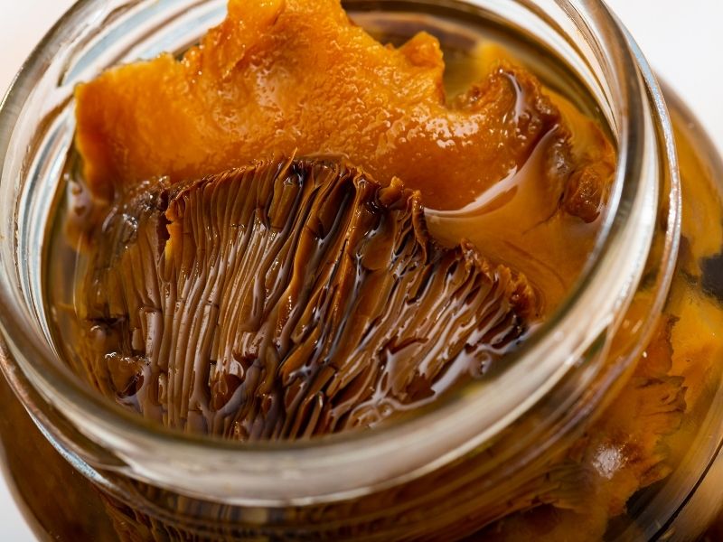 Turşuluk Kanlıca Mantarı İçin Haşlama İpucu