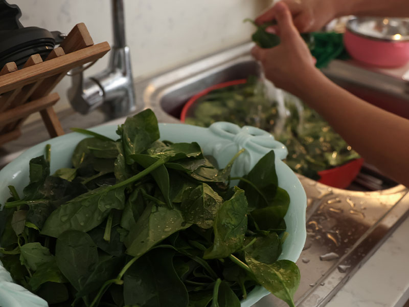 Doğru paketleme, dondurulmuş ıspanağın kalitesini doğrudan etkiler