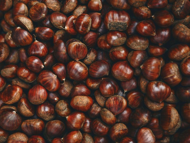 Derin dondurucuyu deneyin