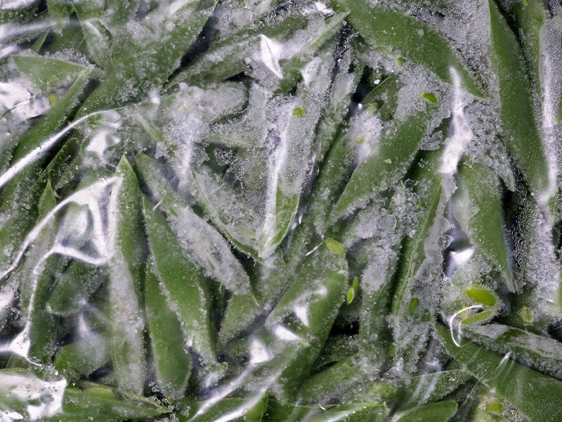 İyi kurutun ve paketleyin