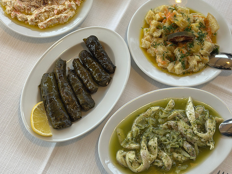 biz meyhane